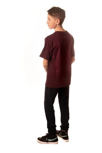 Dickies Horseshoe T-shirt - Bordeauxrød